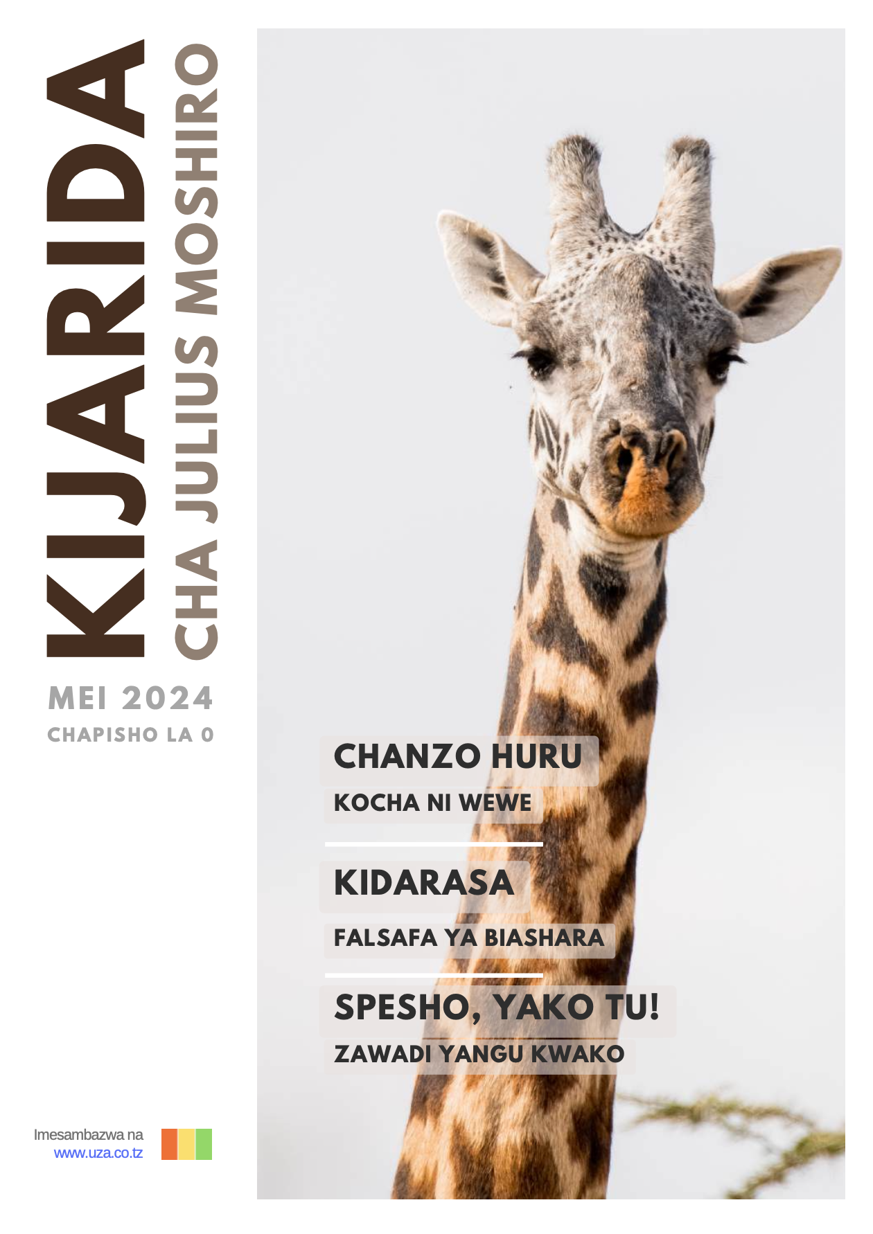 Kijarida cha Julius, Chapisho la 0